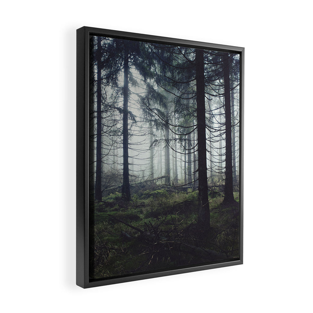 Through The Trees Framed Canvas Print Gallery Image 2