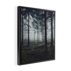 Through The Trees Framed Canvas Print Gallery Image 2