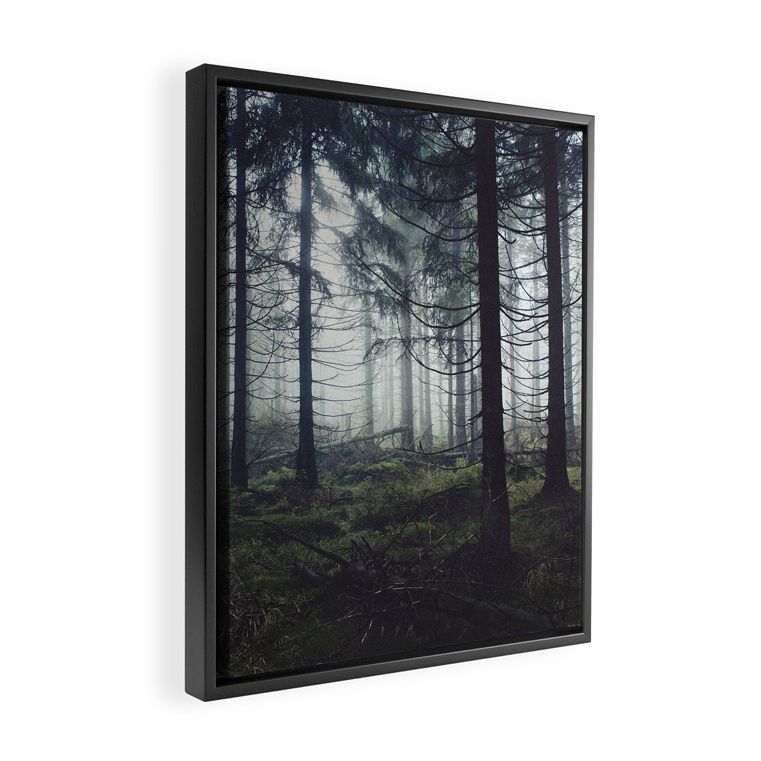 Through The Trees Framed Canvas Print Gallery Image 2