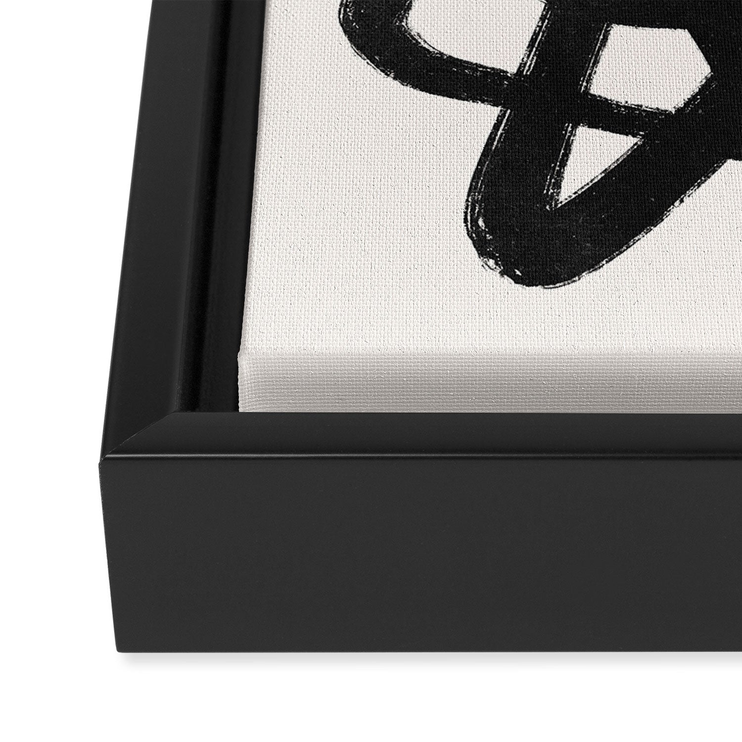 Abstract Black and White Organic Shape Elegant Monochrome Pattern Framed Canvas Print Gallery Image 3