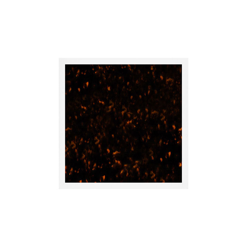 Dark Tortoise Shell Pattern Art Print Gallery Image 1