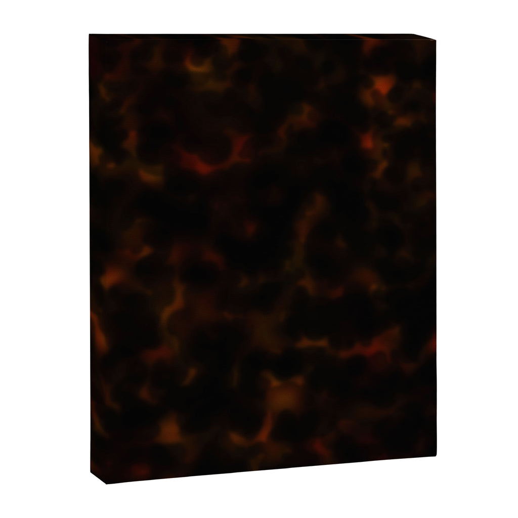 Dark Tortoiseshell Turtle Pattern Canvas Print Gallery Image 8