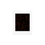 Dark Tortoiseshell Turtle Pattern Art Print Gallery Image 1