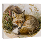 Fox Sleeping Vintage Illustration Canvas Print Gallery Image 12