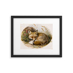 Fox Sleeping Vintage Illustration Framed Art Print Gallery Image 5