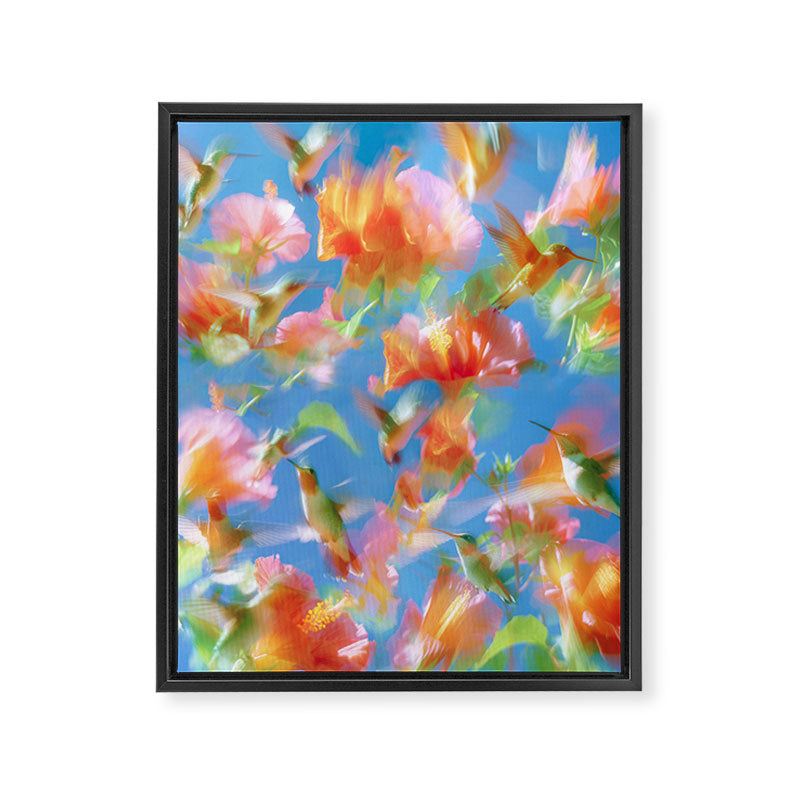 Hummingbird Bloom Blurred Hibiscus Flowers in Sky Blue Framed Canvas Print Gallery Image 6