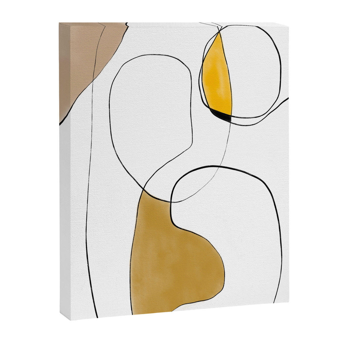 Lines Organic Shapes Canvas Print Gallery Image 6