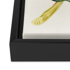Vintage Yellow Luna Moth with Wildflowers Framed Canvas Print Gallery Image 3