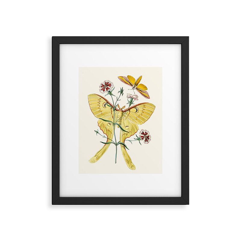 Vintage Yellow Luna Moth with Wildflowers Framed Art Print Gallery Image 5