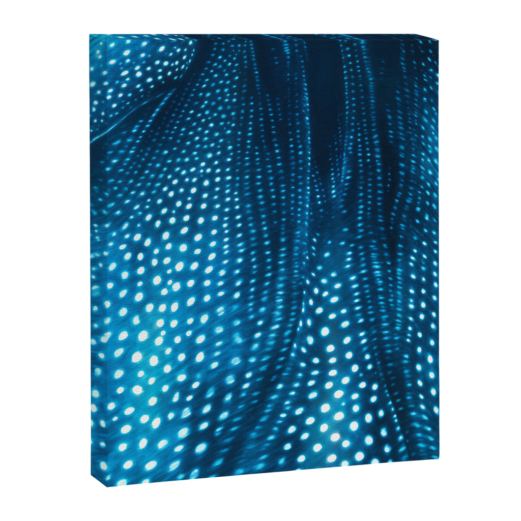 Whale Shark Stars Canvas Print Gallery Image 6
