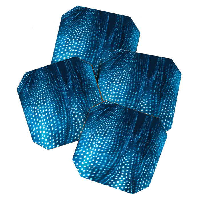 Whale Shark Stars Coaster Gallery Image 1