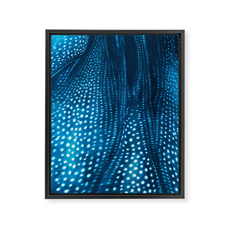 Whale Shark Stars Framed Canvas Print Gallery Image 6