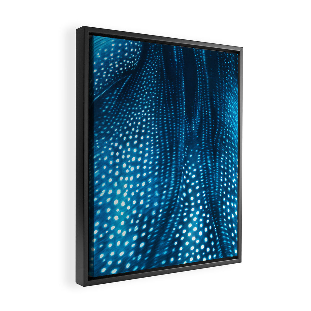 Whale Shark Stars Framed Canvas Print Gallery Image 2