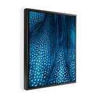 Whale Shark Stars Framed Canvas Print Gallery Image 2