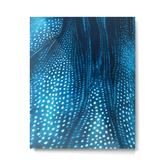 Whale Shark Stars Metal Print Gallery Image 1