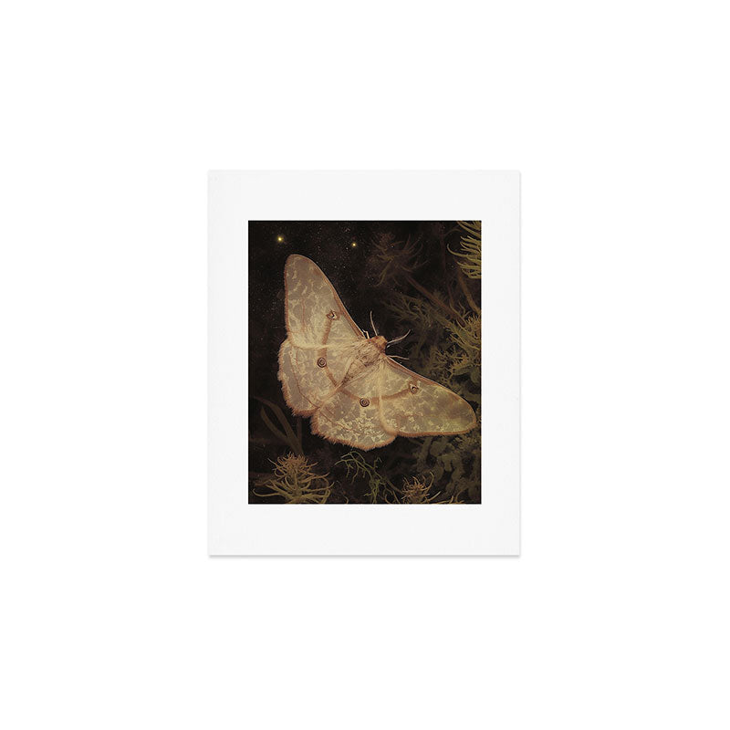 White Moth Insect Goth Dark Art Print Gallery Image 1