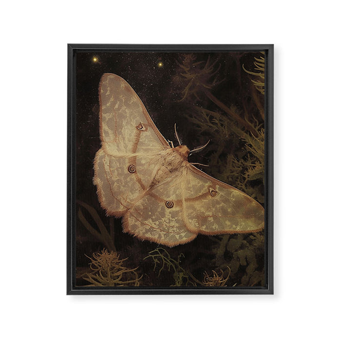 White Moth Insect Goth Dark Framed Canvas Print Gallery Image 1
