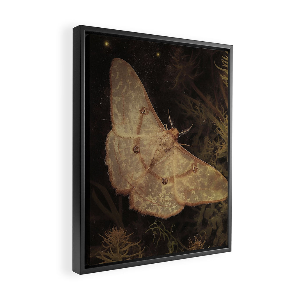 White Moth Insect Goth Dark Framed Canvas Print Gallery Image 2