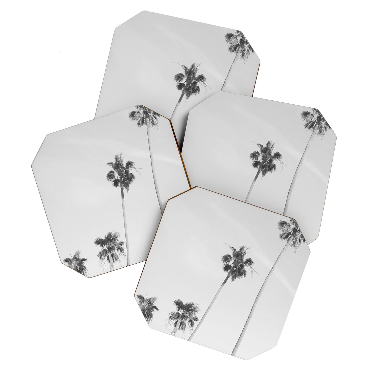 Black & White Palm Trees, Beach Palms Coaster Gallery Image 1