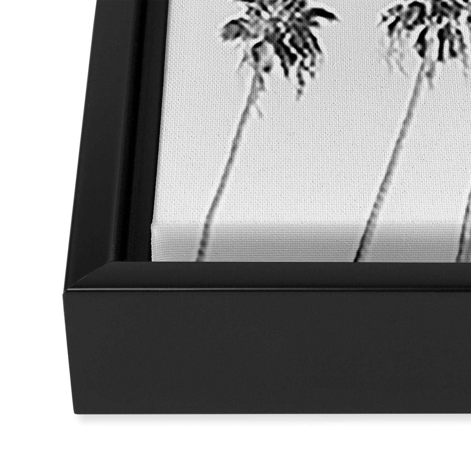 Black & White Palm Trees, Beach Palms Framed Canvas Print Gallery Image 3