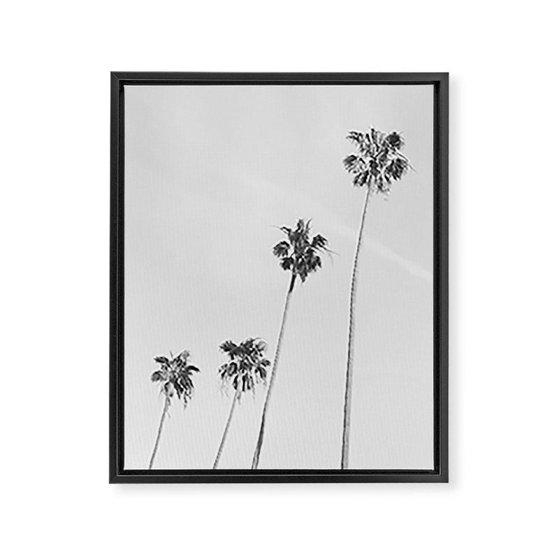 Black & White Palm Trees, Beach Palms Framed Canvas Print Gallery Image 6