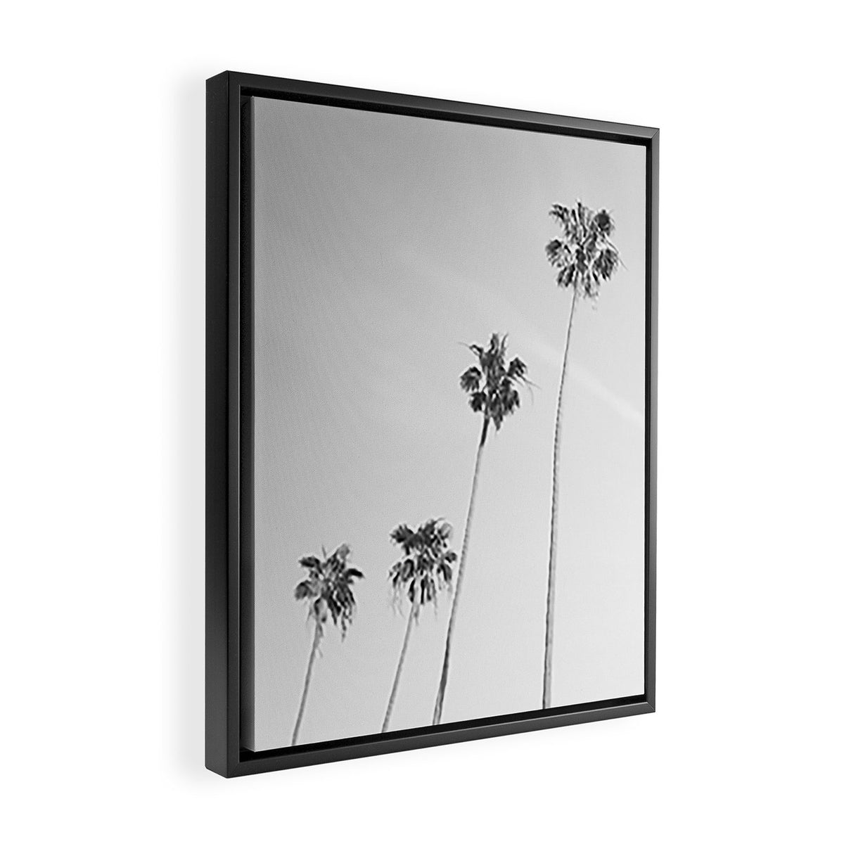 Black & White Palm Trees, Beach Palms Framed Canvas Print Gallery Image 2