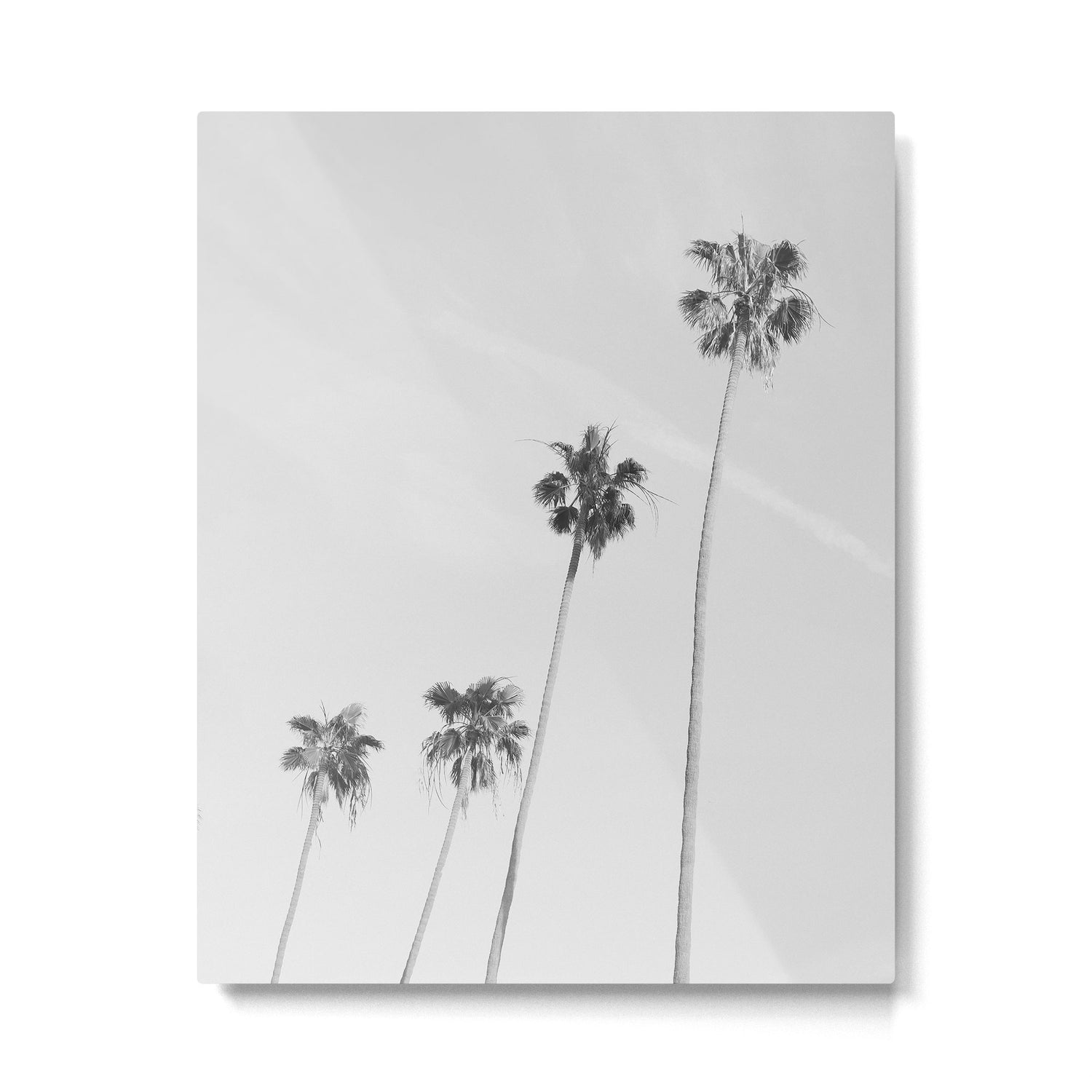Black & White Palm Trees, Beach Palms Metal Print Gallery Image 4