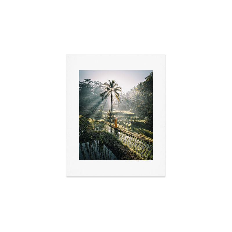 Rice Terrance Sunrise Art Print Gallery Image 1