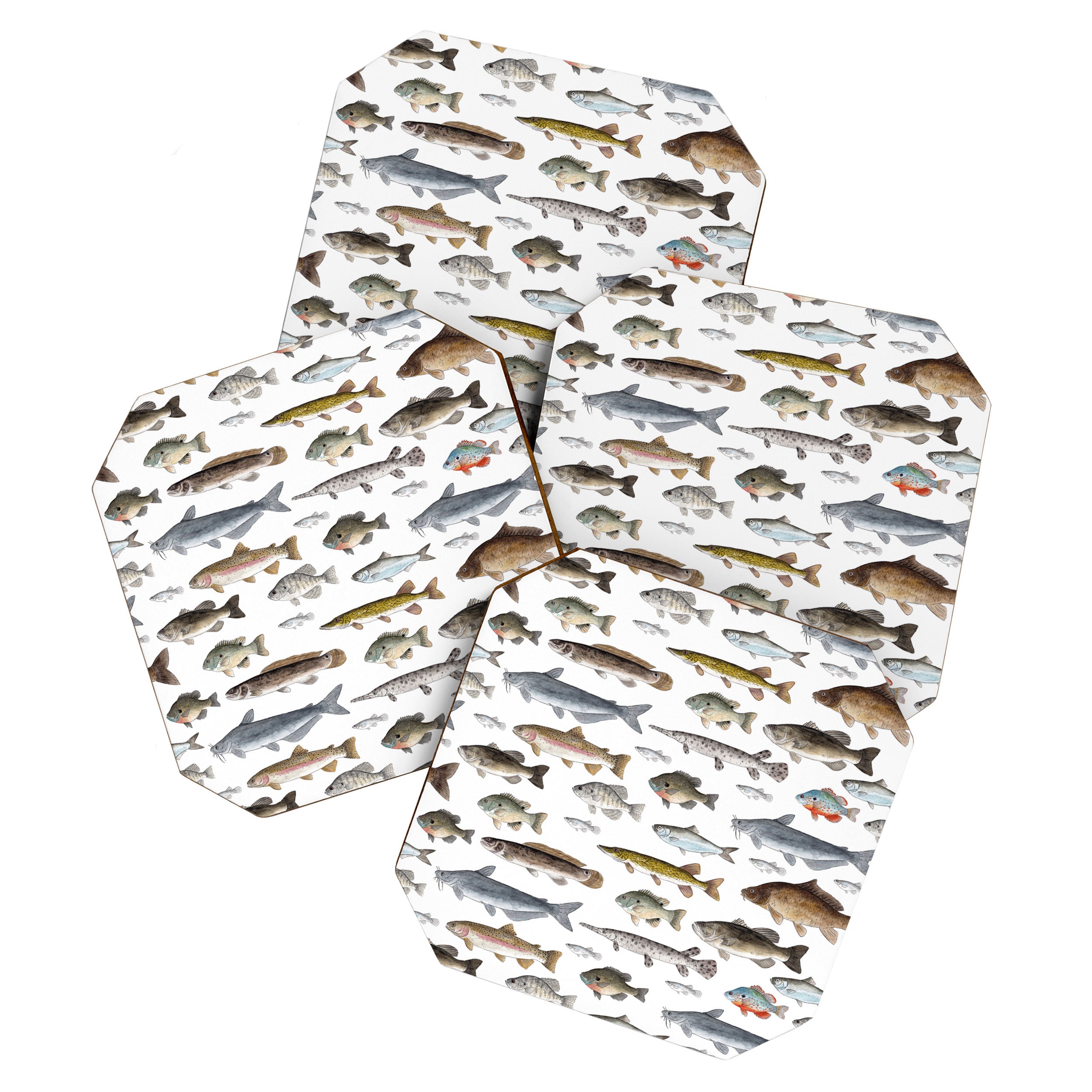 A Few Freshwater Fish Coaster Gallery Image 1