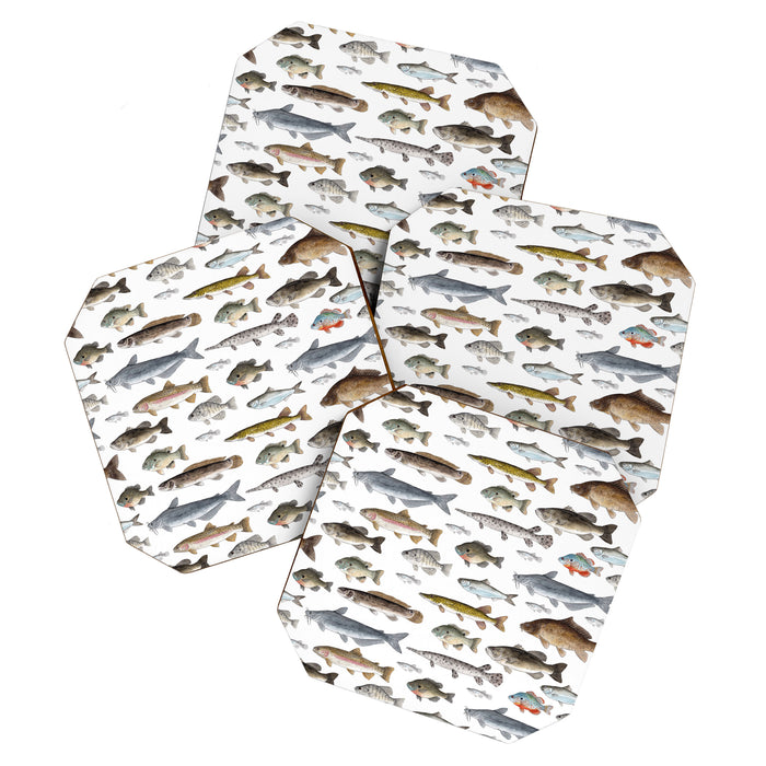 A Few Freshwater Fish Coaster Gallery Image 1