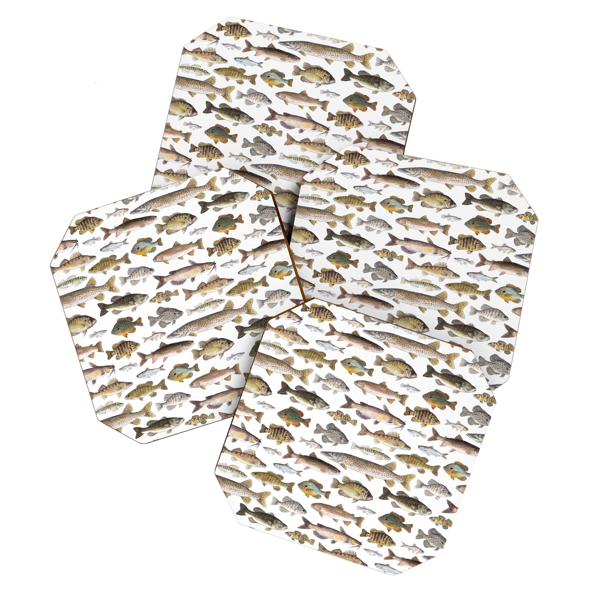 Midwest Freshwater Fish Coaster Gallery Image 1