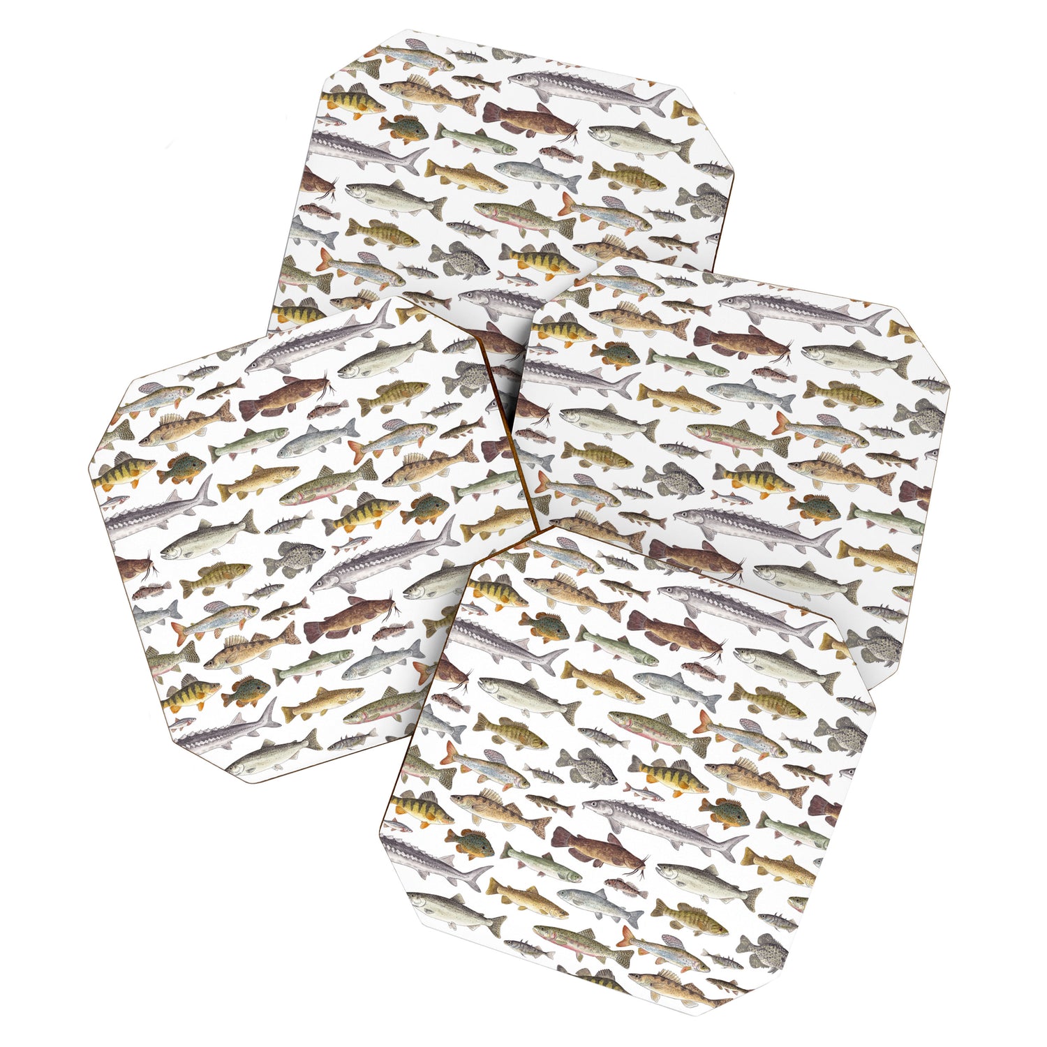 Northwest Freshwater Fish Coaster Gallery Image 1
