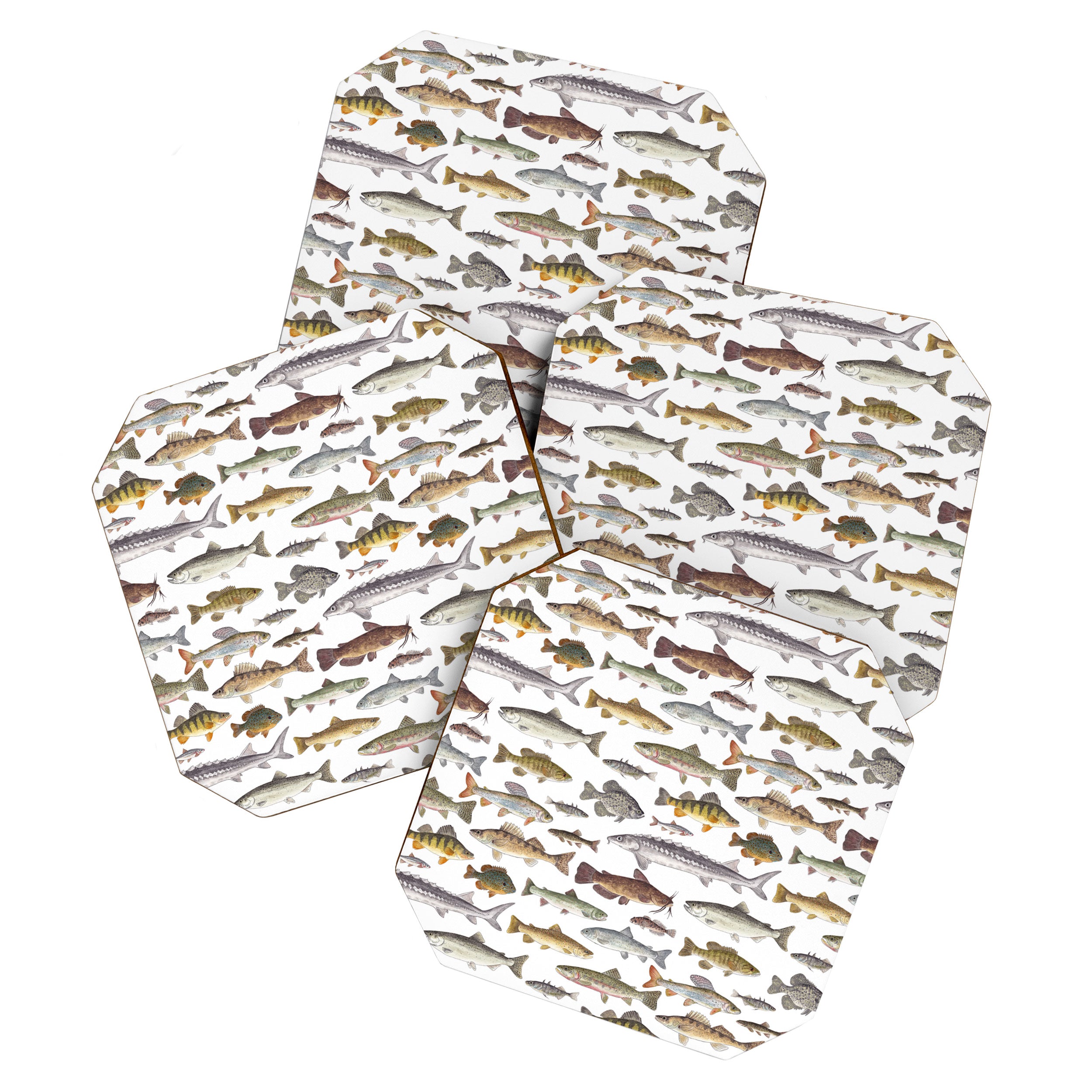 Northwest Freshwater Fish Coaster Gallery Image 1