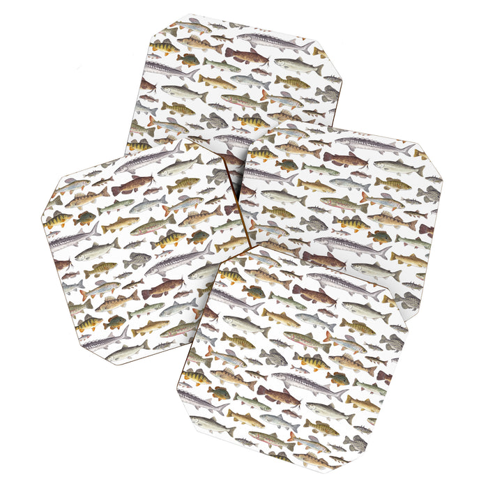 Northwest Freshwater Fish Coaster Gallery Image 1