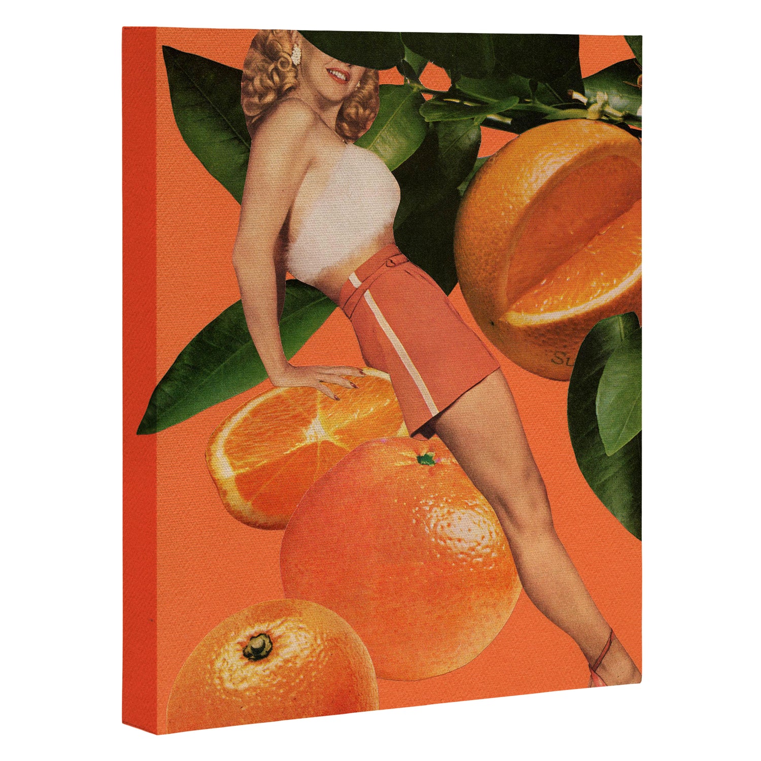 Vitamin C Canvas Print Gallery Image 3