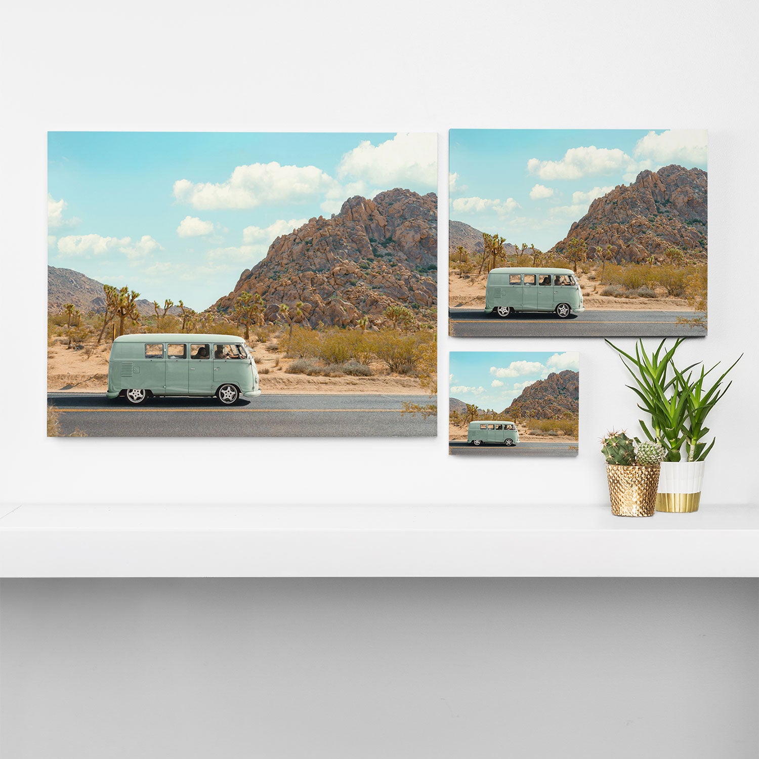 Joshua Tree Canvas Print Gallery Image 3