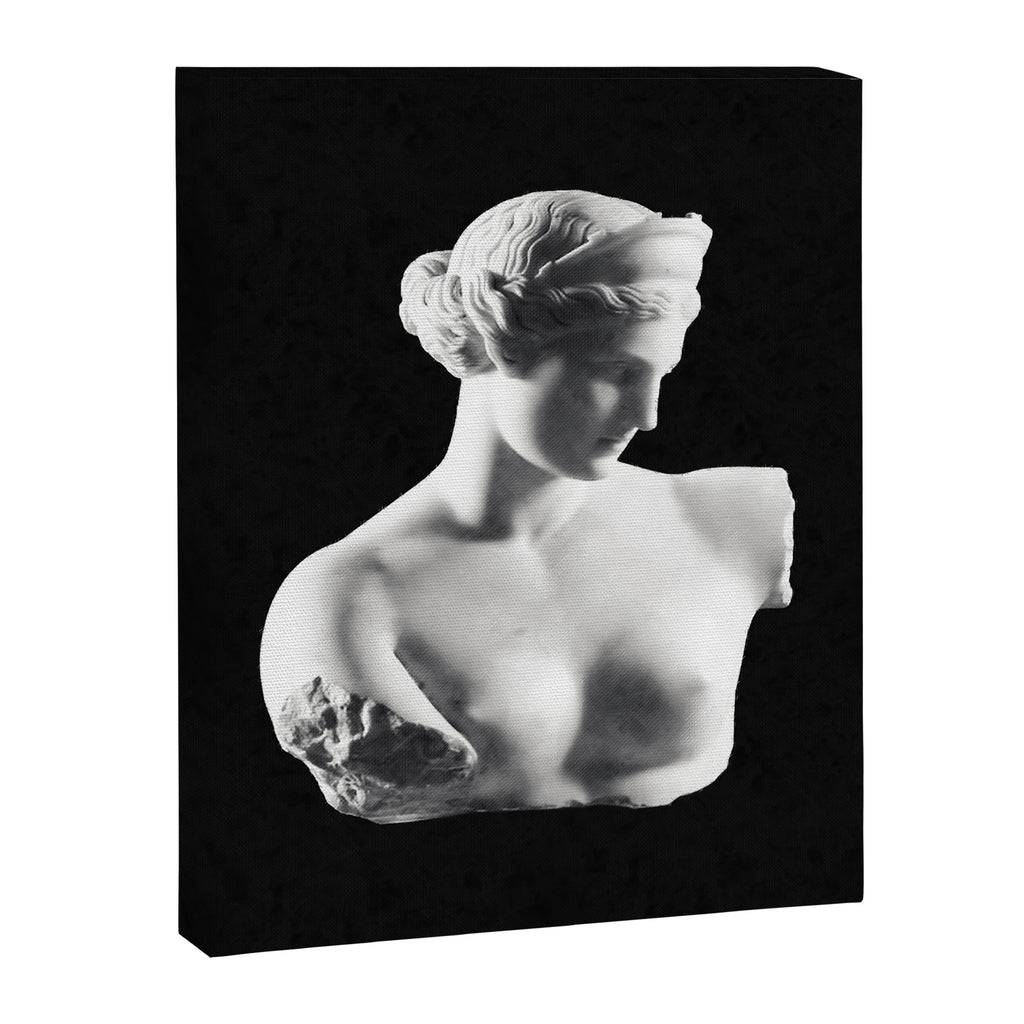 Aphrodite Canvas Print Gallery Image 6