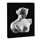 Aphrodite Canvas Print Gallery Image 6