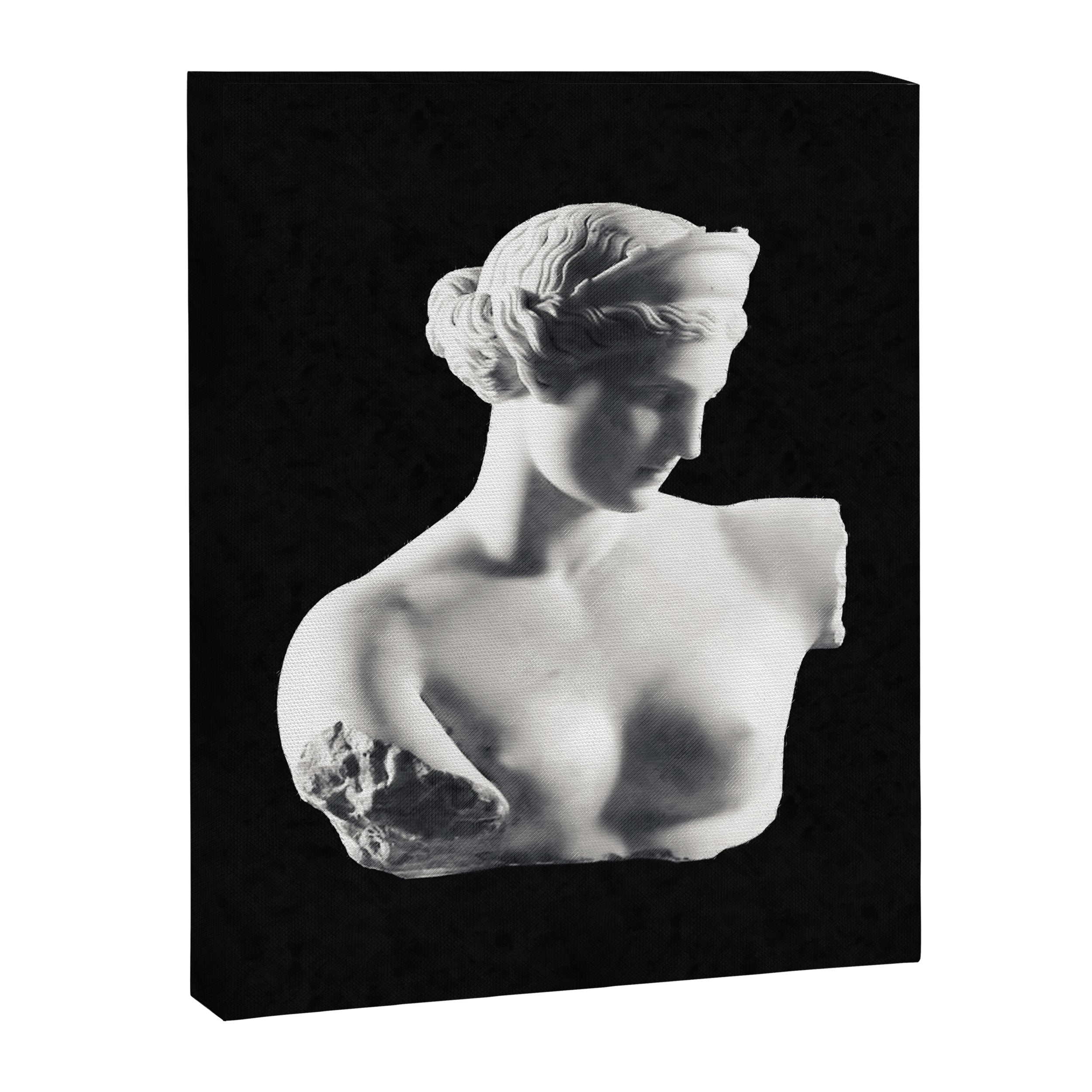 Aphrodite Canvas Print Gallery Image 6
