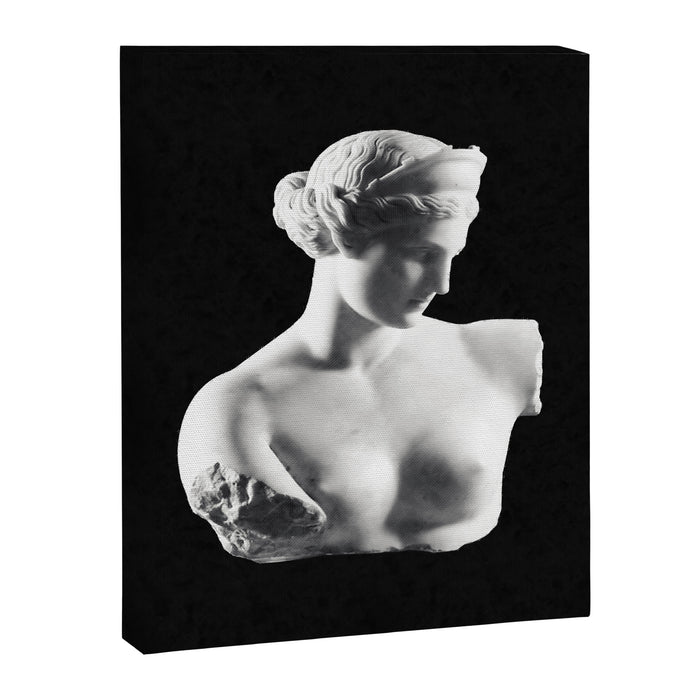 Aphrodite Canvas Print Gallery Image 1