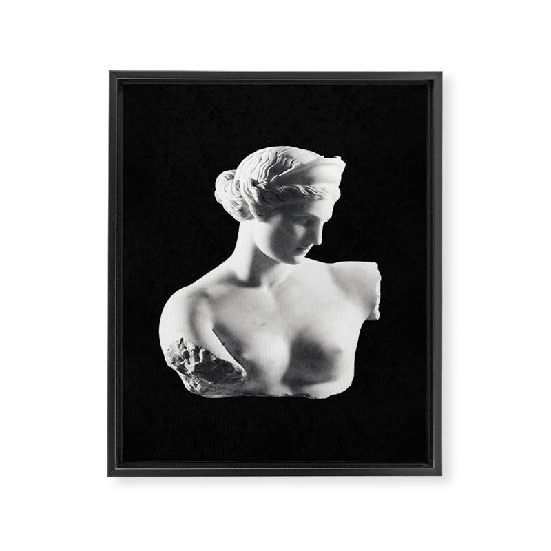 Aphrodite Framed Canvas Print Gallery Image 6