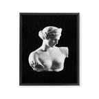 Aphrodite Framed Canvas Print Gallery Image 6