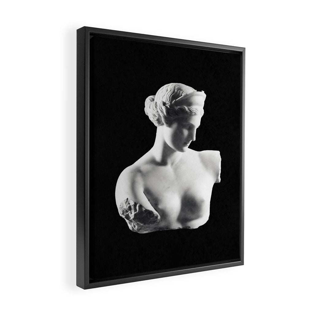 Aphrodite Framed Canvas Print Gallery Image 2