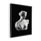 Aphrodite Framed Canvas Print Gallery Image 2