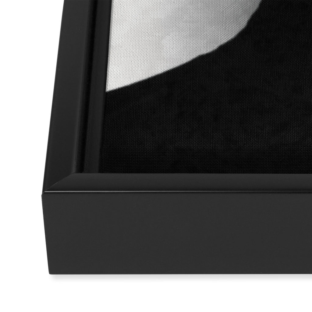 Dizzy Framed Canvas Print Gallery Image 3