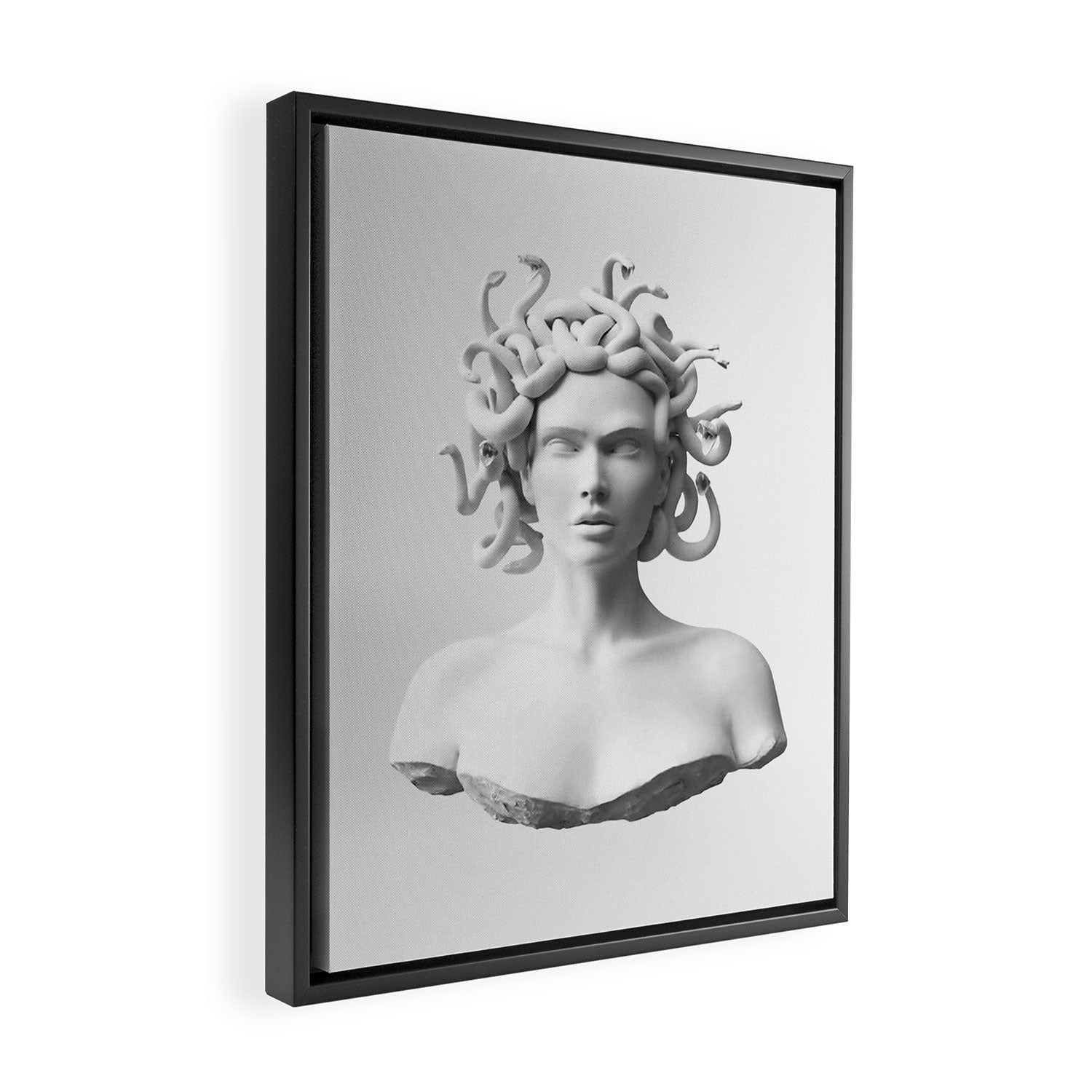 Medusa II Framed Canvas Print Gallery Image 2