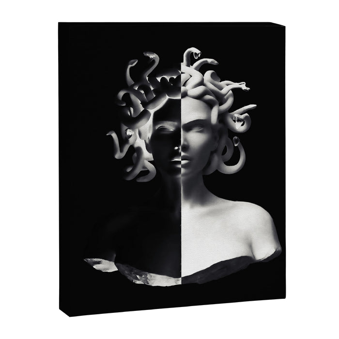 Positive-negative Medusa Canvas Print Gallery Image 1