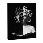 Positive-negative Medusa Canvas Print Gallery Image 6
