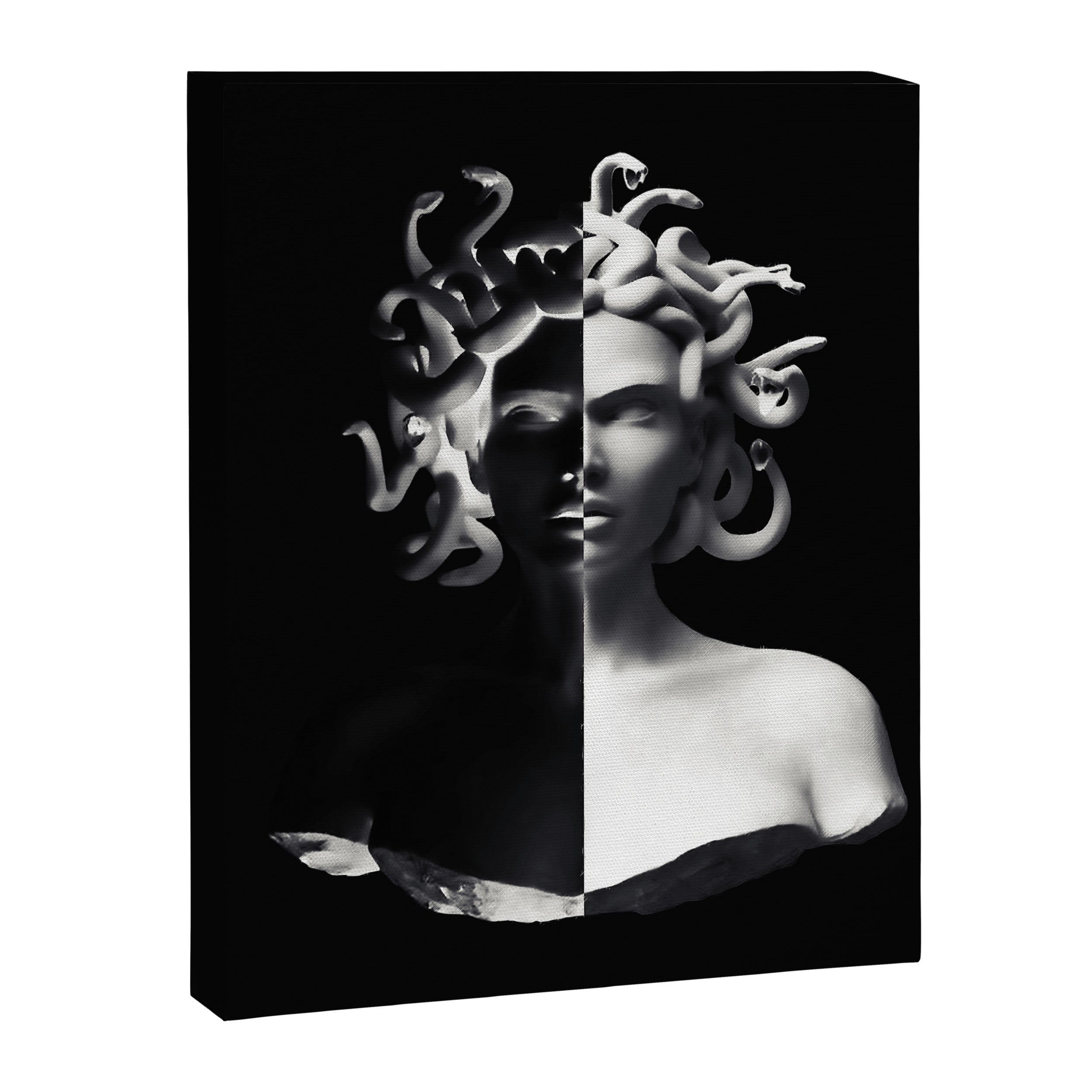 Positive-negative Medusa Canvas Print Gallery Image 6
