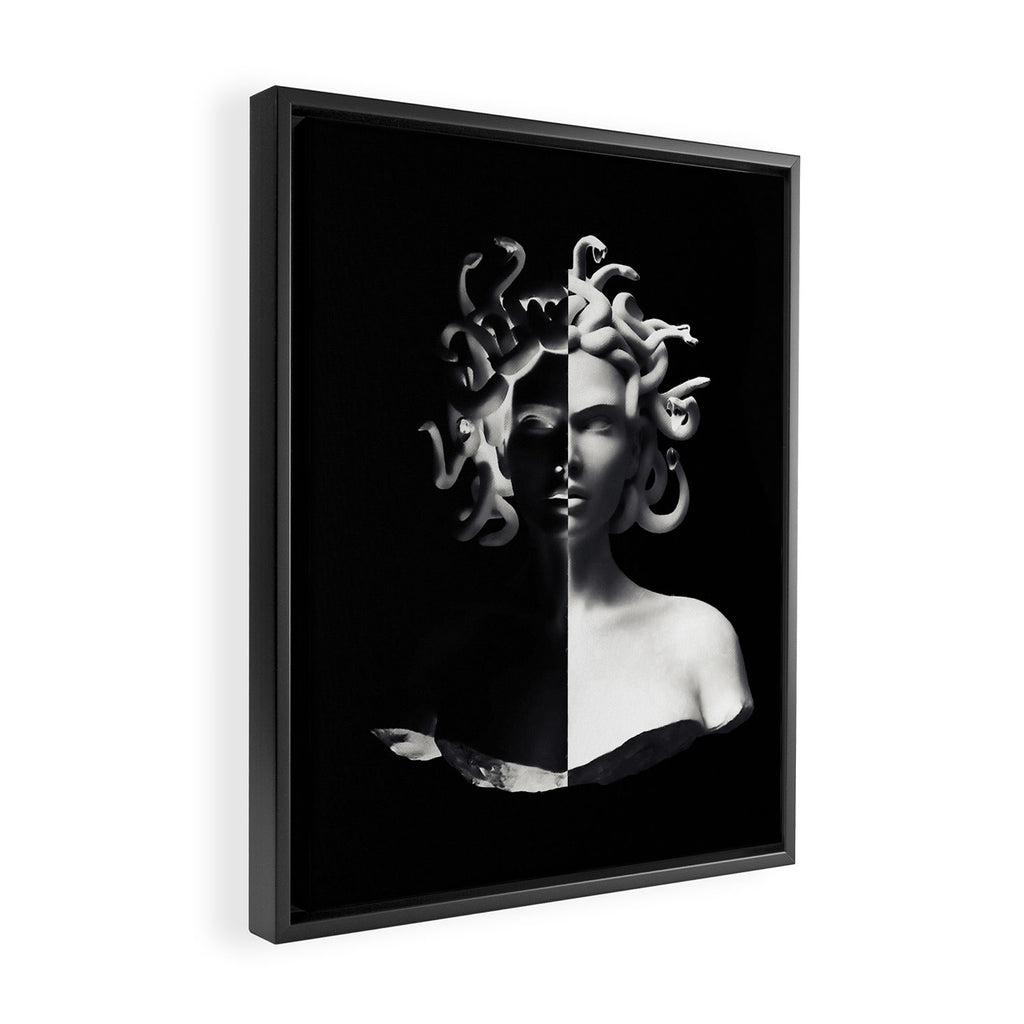 Positive-negative Medusa Framed Canvas Print Gallery Image 2